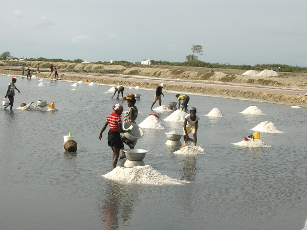IMPORTATION OF SALT DOES NOT FAVOR LOCAL SALT PRODUCERS – AARON LARWEH HUSHIE