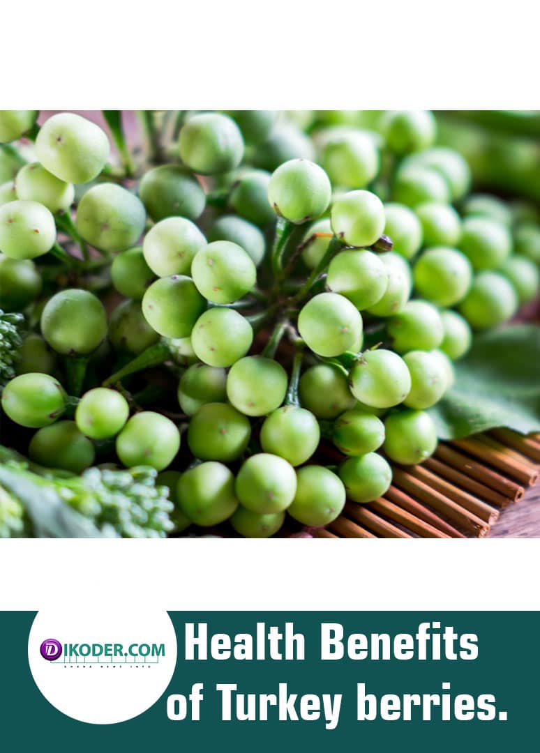Health Benefits of Turkey berries.
