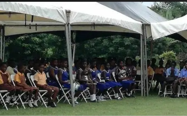 53% of adolescent girls cannot afford sanitary pads – Report