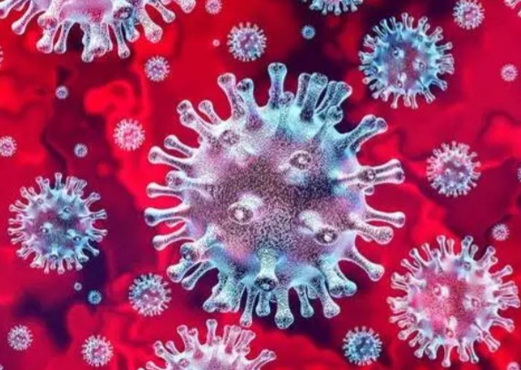 Ghanaian Times: Policy on reopening of basic schools amid Coronavirus