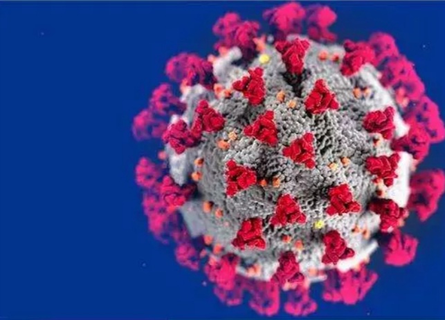 New Update on COVID-19 cases on September 5th