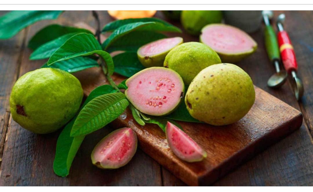 8 Health Benefits of Guava Fruit and Leaves