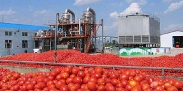 Gender/Social Protection & Local Government Ministries train and give capital to over 300 people in Offinso North to enter into production